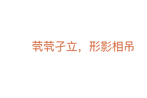 茕茕孑立，形影相吊